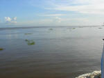 River Amazon